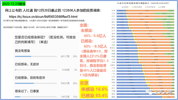 一窥免费资料公开选料的世界