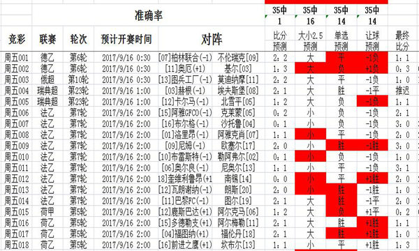 二四六天天玄机资料308，揭秘背后的秘密与深度解读