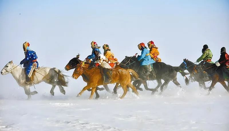 今天买什么特马——探索赛马世界的奥秘与策略