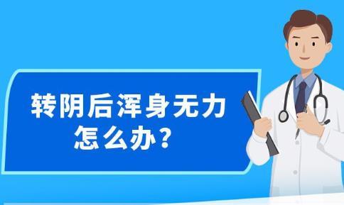 新澳精准资料免费提供，探索第510期的价值与奥秘