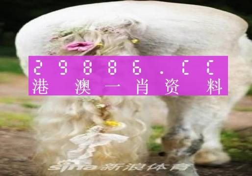 澳门一肖一码精准预测，揭秘未来的秘密（2025展望）