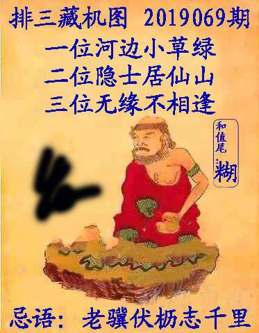 神秘与魅力交织