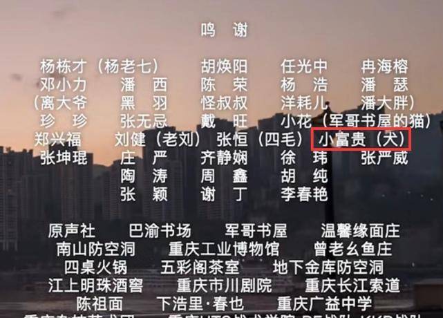 澳门必中一肖一码精准预测——揭秘彩票背后的秘密