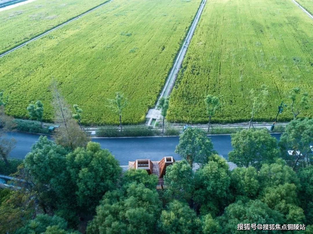 澳门推荐一码，一起致富之路