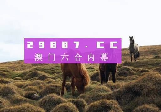 澳门最新开奖信息揭秘