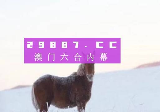 澳门正版金牛版网站免费，探索与体验