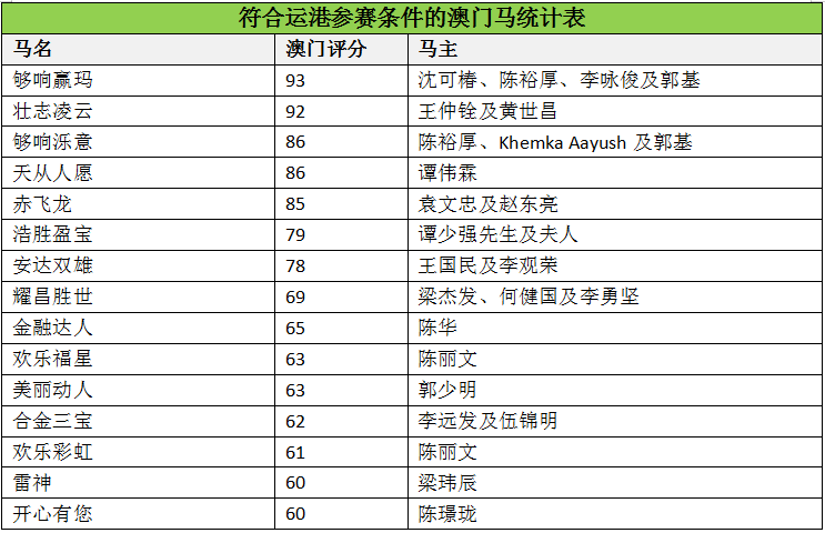 澳门马会传真（内部资料）的独特魅力与深度解析