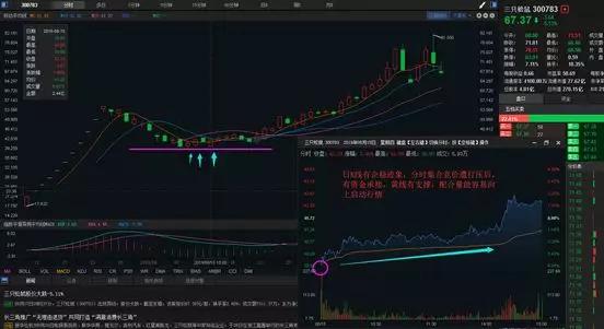 探索3b走势图带连线的专用版，揭示数据与趋势的神秘面纱