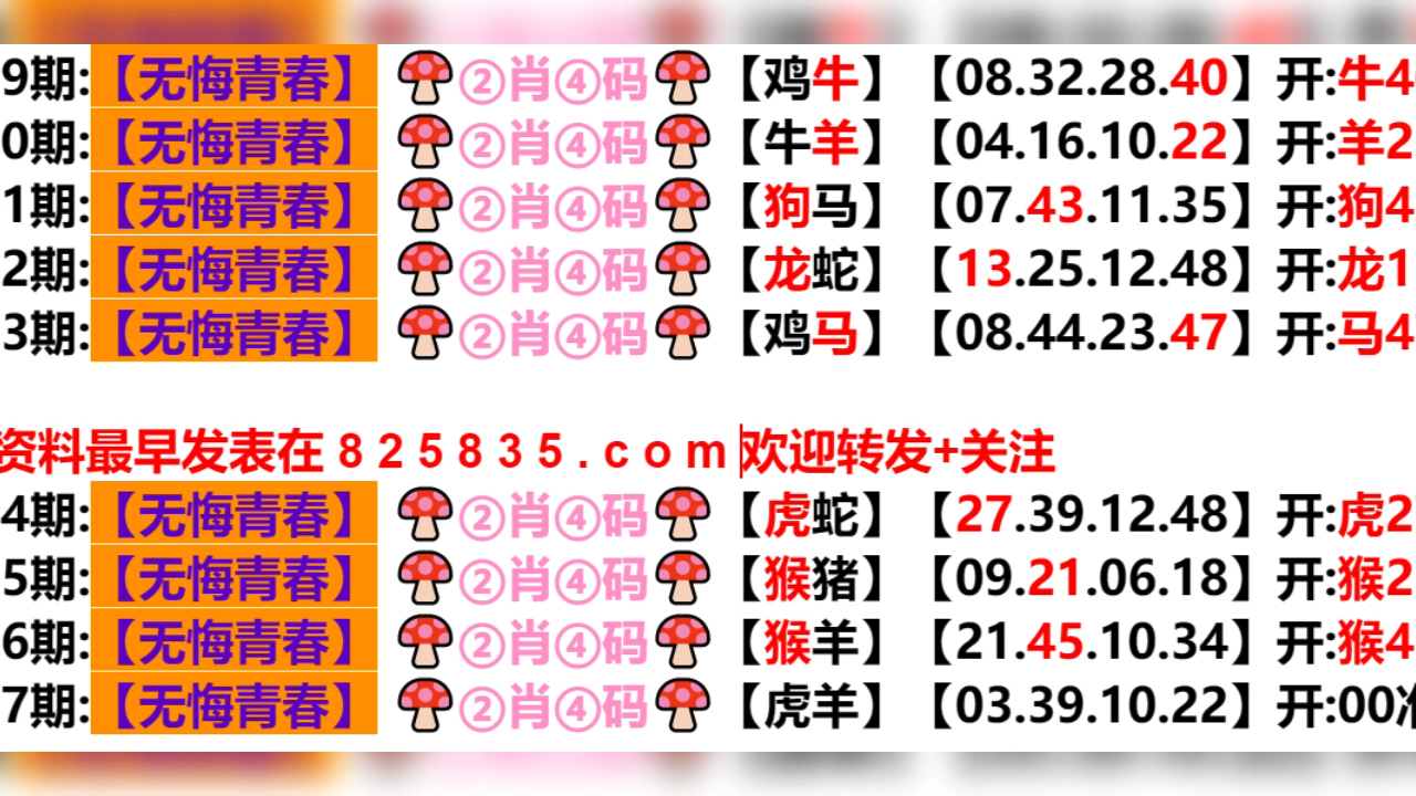 探索新澳门315期，如何中奖？全面解析与视频分享新奥门315期开什么比较好中奖呢啊视频完整下载
