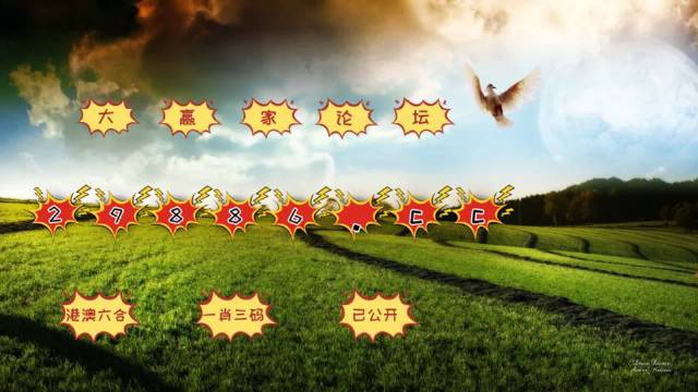 澳门新开奖结果2024年8月9日开奖记录全解析与最新汇总下载指南澳门开奖4238开奖记录