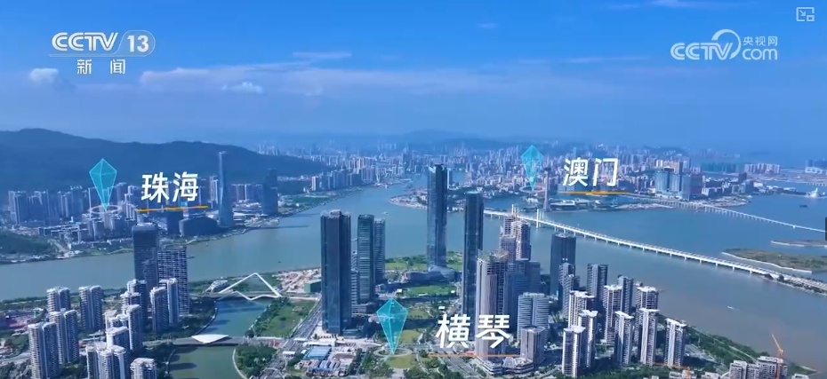 澳门新开奖结果2024年8月9日最新开奖情况查询与深度解读澳门彩2021第四期开奖记录