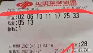新奥门彩开奖结果与生肖视频，探索与体验新澳门开奖结果2020+开奖记录_