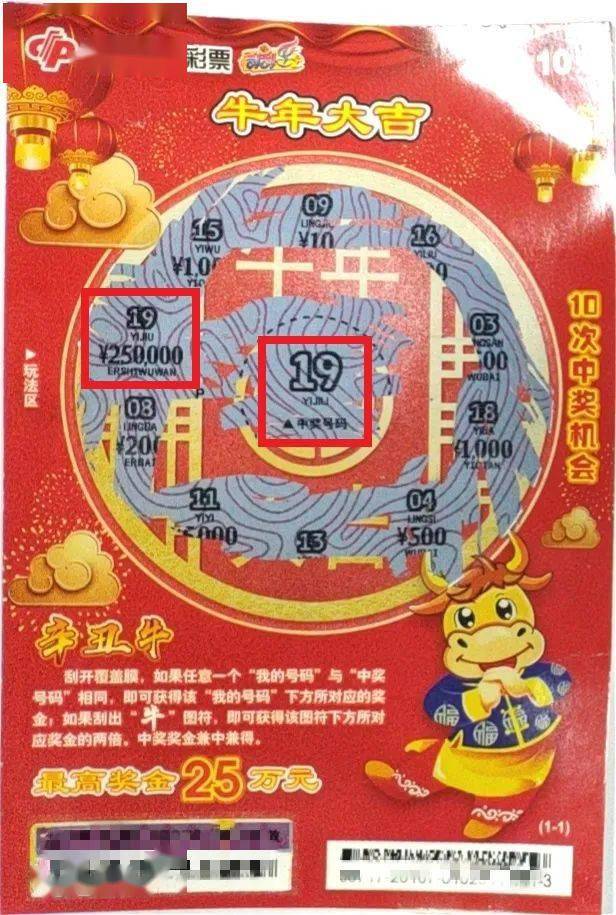 新奥门彩开奖结果与生肖图片集锦，探索彩票背后的文化魅力新澳门开奖