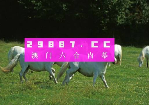 澳门新彩开奖结果与生肖的奥秘，最新开奖信息、图片及视频下载全攻略新澳门开奖结果2020+开奖记录_