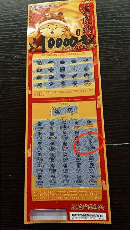 新奥门彩开奖结果与生肖，探索彩票背后的文化魅力新澳门开奖结果2020+开奖记录_