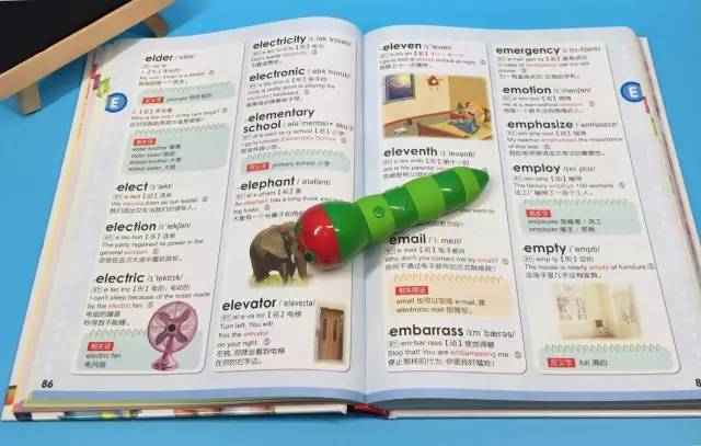新奥门彩开奖结果中的生肖奥秘，图片、视频全解析，美丽与简洁并存新澳门开奖