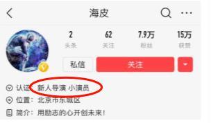 新奥门彩票资料查询网官网最新版，正版验证与功能解析奥门彩票有限公司 官网新版在线播放